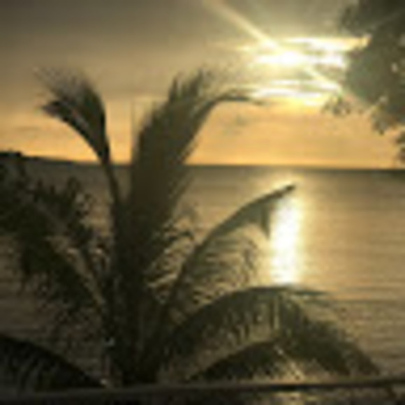 Meet your Posher, Alyssa - Picture 1 of 1